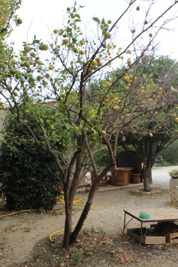 Mas Des Oliviers Apartment Saint-Esteve  ภายนอก รูปภาพ